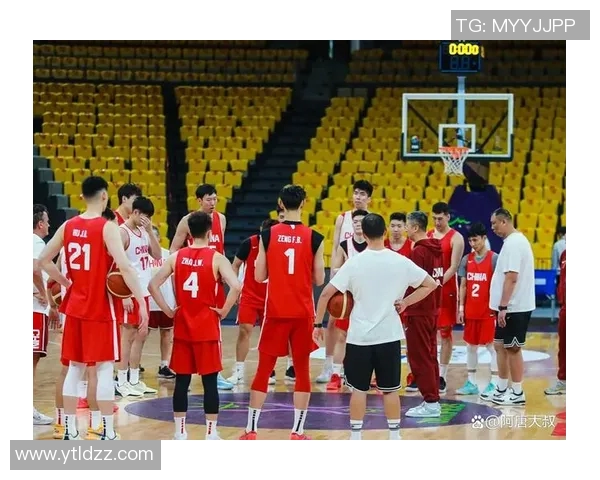 南京篮球队在杯赛中的团队协作表现分析与启示