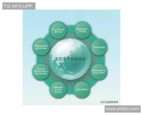 南京排球队的崛起之路：从低谷到辉煌的奋斗历程与启示