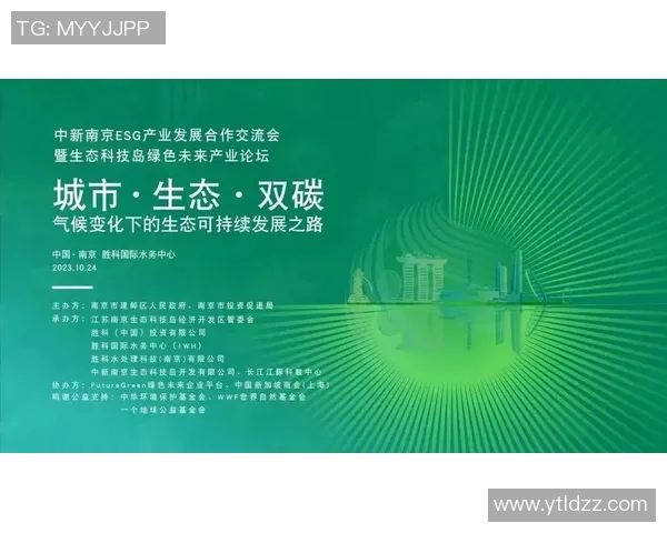 南京篮球队防守革新之路探索与实践的深度分析与展望