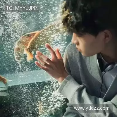 石阔椒
