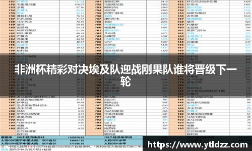 非洲杯精彩对决埃及队迎战刚果队谁将晋级下一轮